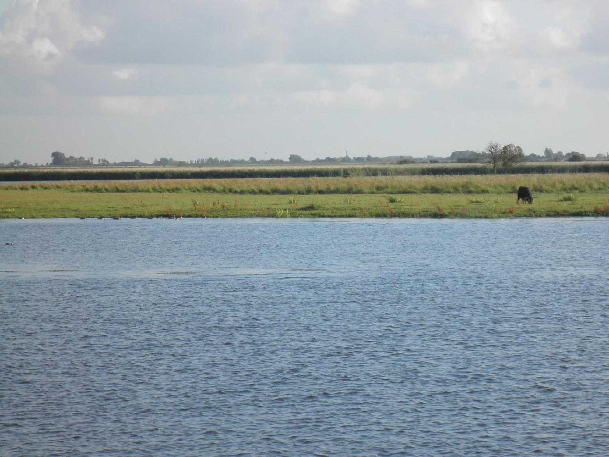 8 Pers House 'Capitein Theis' With Seaside In Front Of The Lauwersmeer أنيوم المظهر الخارجي الصورة